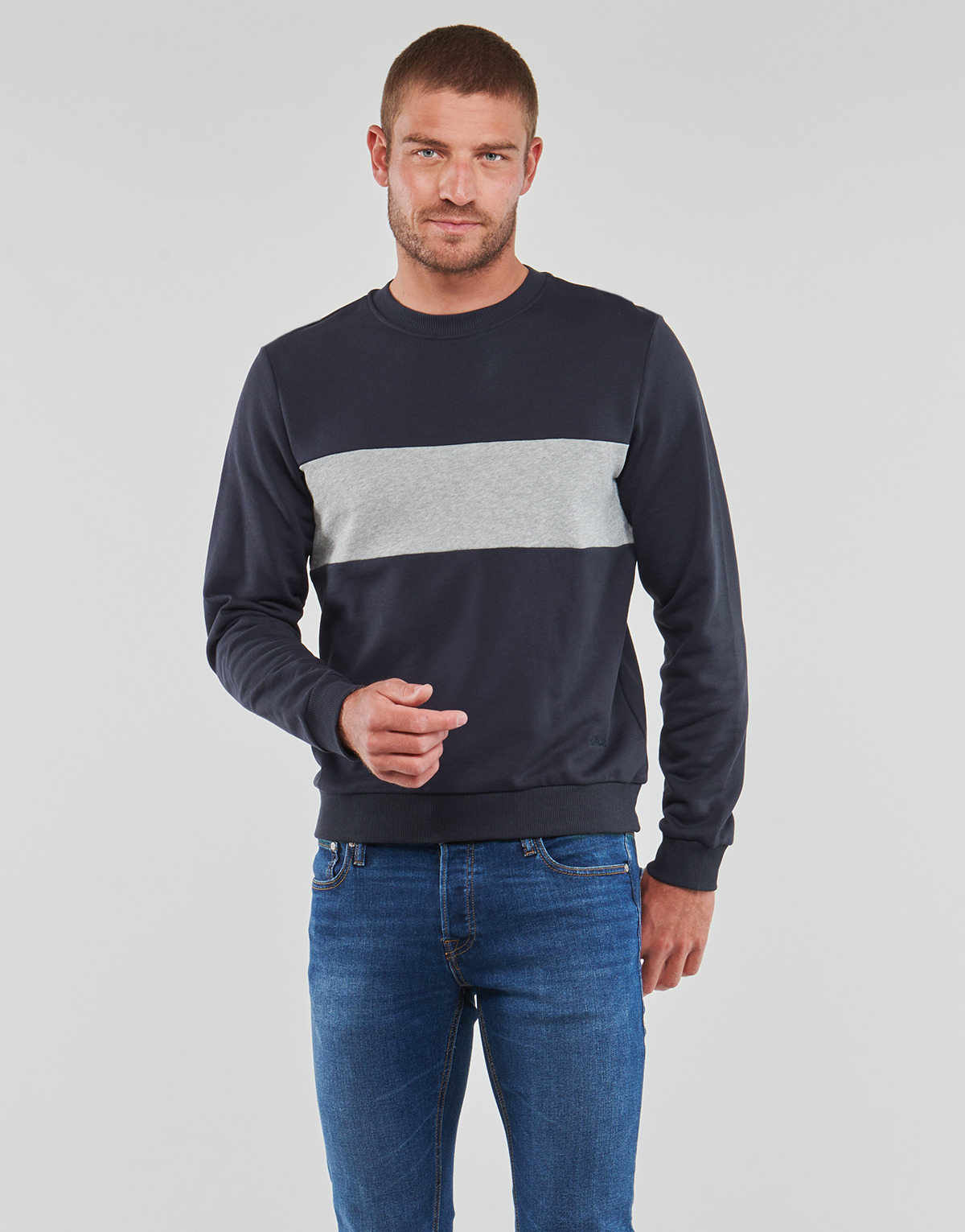 Kleidung Herren Sweatshirts Geox M SWEATER R-NECK BAN Marine / Grau
