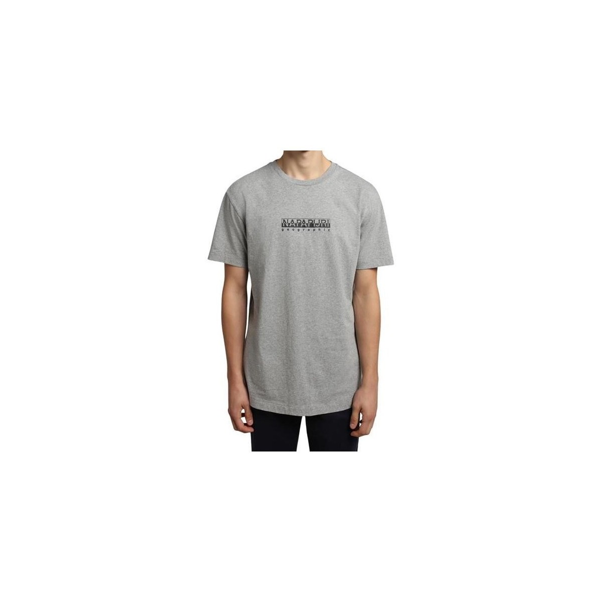 Kleidung Herren T-Shirts Napapijri Sbox 3 Grau
