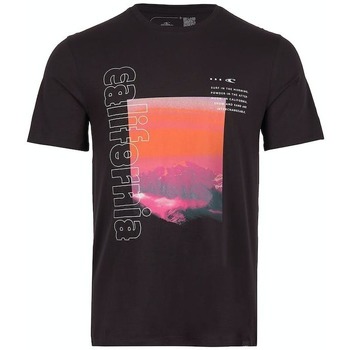Kleidung Herren T-Shirts O'neill T-shirt  Cali Mountains Schwarz