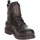Schuhe Damen Boots U.S Polo Assn. BRUNA006W/BY1 Braun