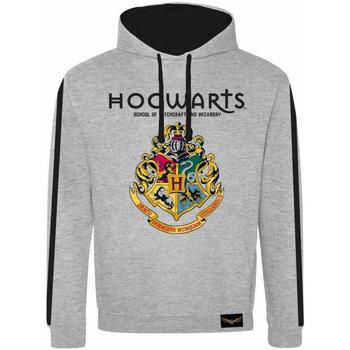 Kleidung Sweatshirts Harry Potter  Schwarz