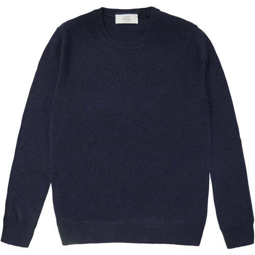 Kleidung Herren Pullover Mauro Ottaviani  Blau