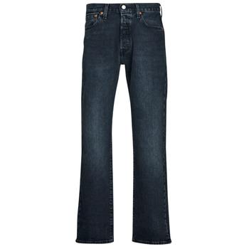 Kleidung Herren Straight Leg Jeans Levi's 501® LEVI'S ORIGINAL Hollywood / Bowls