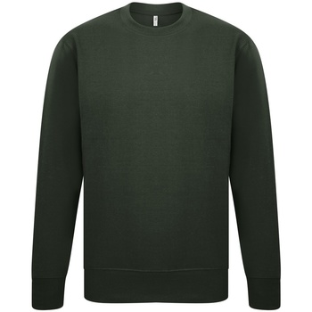 Kleidung Herren Sweatshirts Casual Classics  Grün