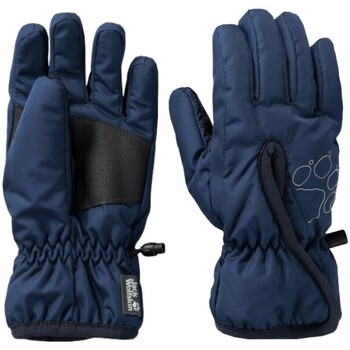 Accessoires Handschuhe Jack Wolfskin  Blau