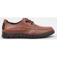 Schuhe Herren Derby-Schuhe & Richelieu Cossimo 13014 Braun