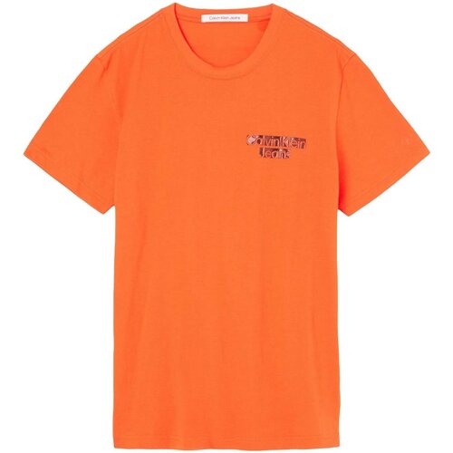 Kleidung Herren T-Shirts Calvin Klein Jeans J30J321772 Orange