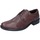 Schuhe Herren Derby-Schuhe & Richelieu 4.0 BE411 Braun