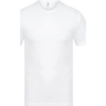 Kleidung Herren T-Shirts Absolute Apparel  Weiss