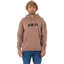 Kleidung Herren Sweatshirts Hurley Sweatshirt à capuche  Fastlane Solid Braun