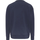 Kleidung Herren Sweatshirts Tommy Jeans Reg Linear Placement Crew Sweater Blau