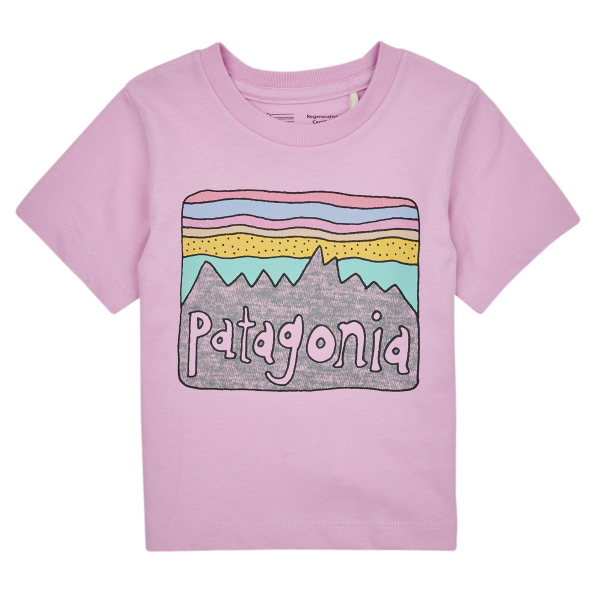 Kleidung Kinder T-Shirts Patagonia Baby Regenerative Organic Certified Cotton Fitz Roy Skies T- Violett