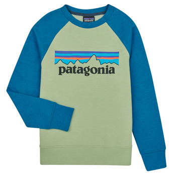 Kleidung Kinder Sweatshirts Patagonia K's LW Crew Sweatshirt Multicolor