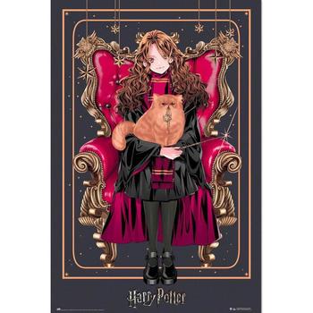 Home Plakate / Posters Harry Potter TA9771 Schwarz