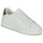 Schuhe Damen Sneaker Low Only ONLSOUL-4 PU SNEAKER NOOS Weiss / Gold