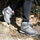 Schuhe Damen Wanderschuhe Trezeta 010716130 Grau