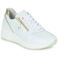Schuhe Damen Sneaker Low NeroGiardini E306457D-707 Weiss