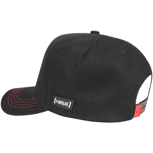 Capslab Space Mission NASA Cap Schwarz
