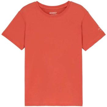 Kleidung Jungen T-Shirts Ecoalf  Orange