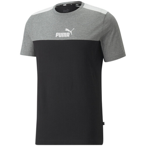Kleidung Herren T-Shirts & Poloshirts Puma 847426-01 Grau