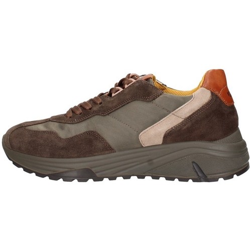 Schuhe Herren Sneaker Low IgI&CO 2638122 Braun