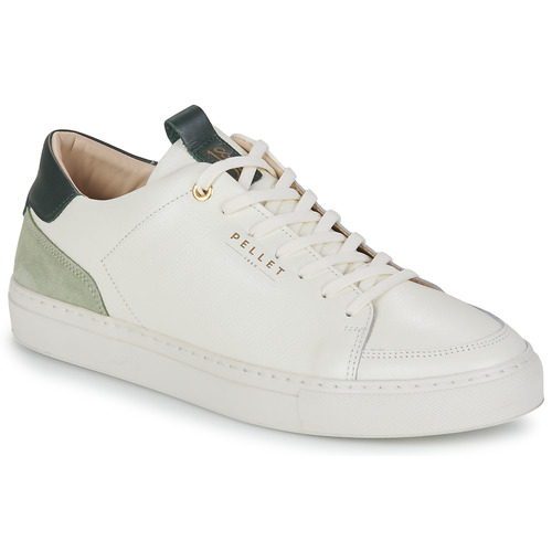 Schuhe Herren Sneaker Low Pellet SIMON Graine / Weiss / Tilleuil