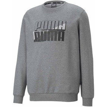 Kleidung Herren Sweatshirts Puma Power Logo Grau