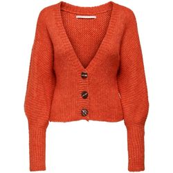Kleidung Damen Pullover Only 15259311 ONLCHUNKY-RED CLAY Rot