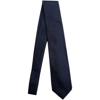 Kleidung Herren Krawatte und Accessoires Barba Napoli 32158 Blau