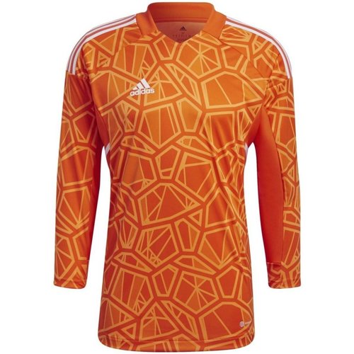 Kleidung Herren T-Shirts & Poloshirts adidas Originals Sport adidas Torwarttrikot 