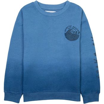 Kleidung Jungen Sweatshirts Minoti Sweatshirt für Jungen ( 3y-14y ) Blau