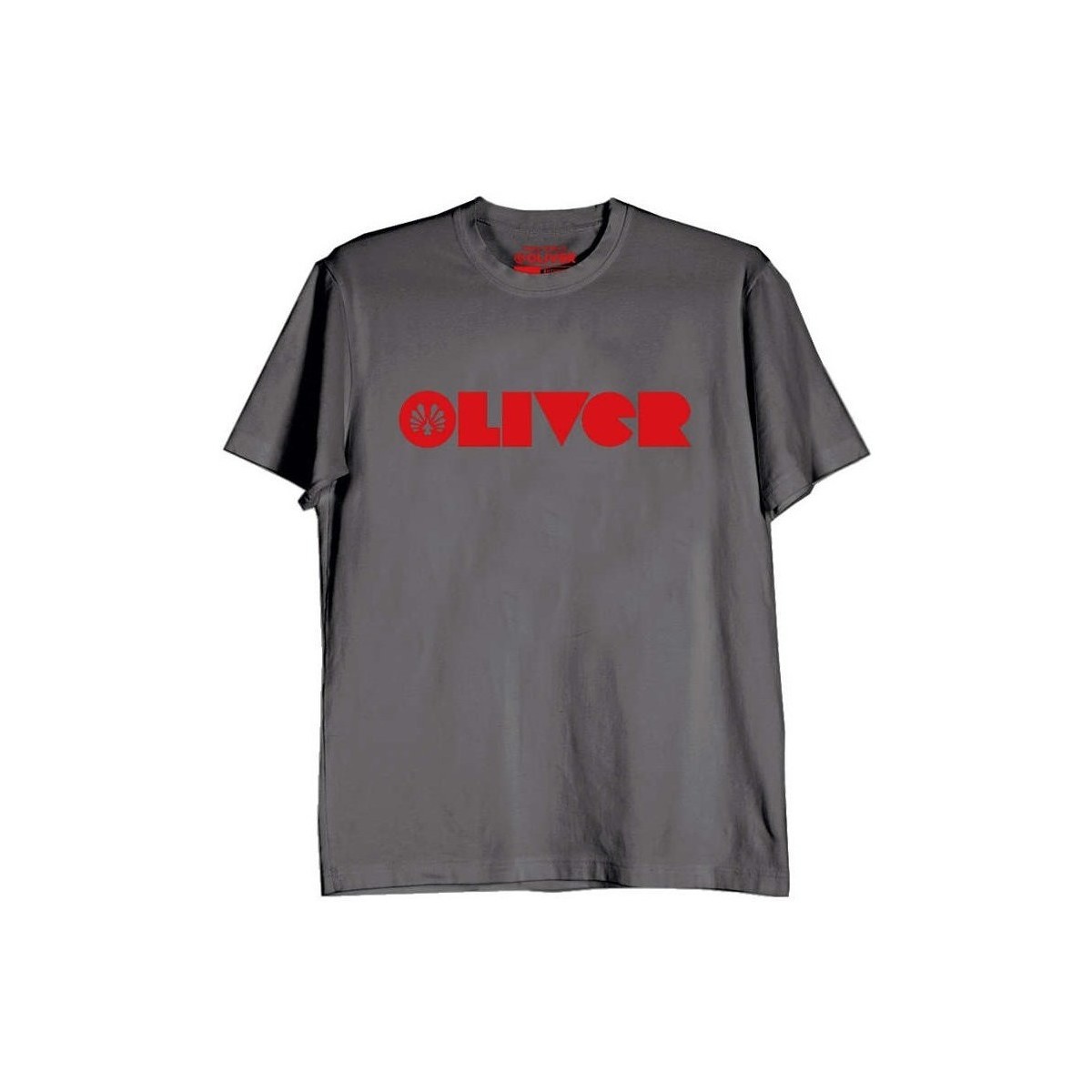 Kleidung Herren T-Shirts Oliver 83500 Grau
