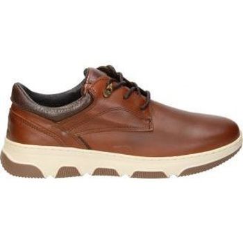 Schuhe Herren Derby-Schuhe & Richelieu Global Sigla 980 Braun