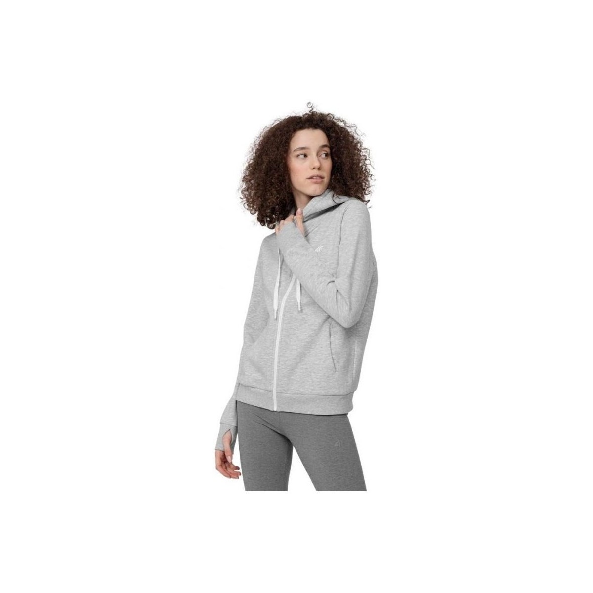 Kleidung Damen Sweatshirts 4F BLD353 Grau