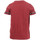 Kleidung Jungen T-Shirts & Poloshirts Teddy Smith 61006520D Rot