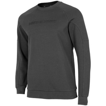 Kleidung Herren Sweatshirts 4F BLM019 Grau