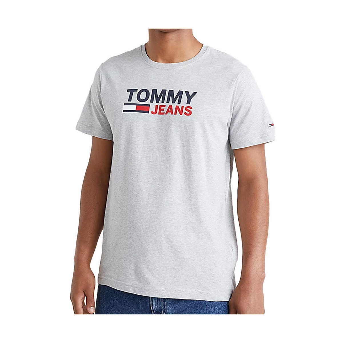 Kleidung Herren T-Shirts & Poloshirts Tommy Hilfiger DM0DM15379 Grau