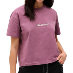 Kleidung Damen T-Shirts & Poloshirts Dickies DK0A4XBAB651 Violett