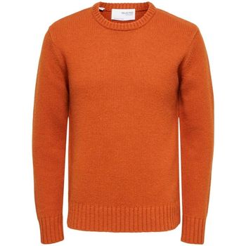 Kleidung Herren Pullover Selected 16086702 SLHSOLO-BOMBAY BROWN Orange