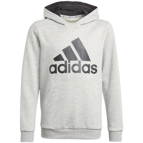 Kleidung Herren Sweatshirts adidas Originals Big Logo HD Grau
