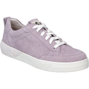 Josef Seibel  Sneaker Wilma 03, purple