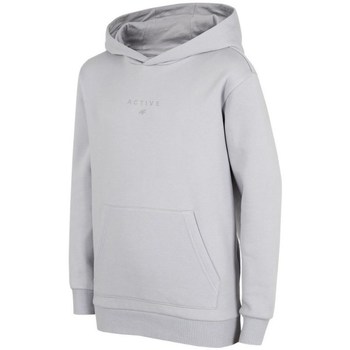 Kleidung Mädchen Sweatshirts 4F JBLD003 Grau