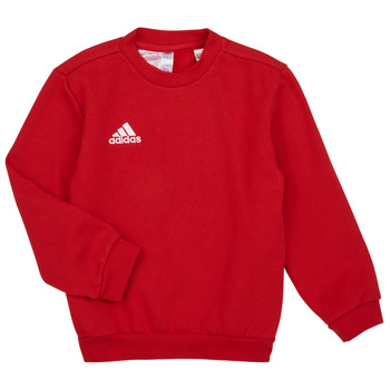 Kleidung Kinder Sweatshirts adidas Performance ENT22 SW TOPY Team / Rot