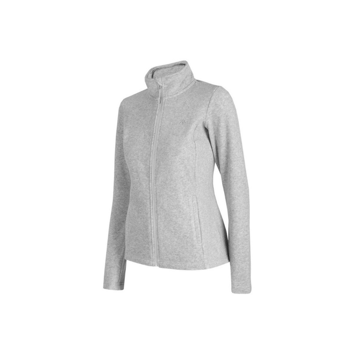 Kleidung Damen Sweatshirts 4F PLD350 Grau