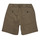 Kleidung Jungen Shorts / Bermudas Teddy Smith S-SLING JR BEDF Grün