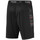 Kleidung Herren Shorts / Bermudas Puma 656431-01 Multicolor
