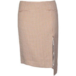 Kleidung Damen Röcke Isabelle Blanche  Beige