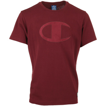 Kleidung Herren T-Shirts Champion Crewneck T-Shirt Rot