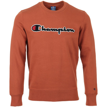 Kleidung Herren Sweatshirts Champion Crewneck Sweatshirt Braun