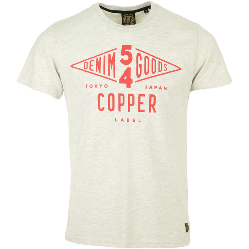 Kleidung Herren T-Shirts Superdry Copper Label Tee Grau